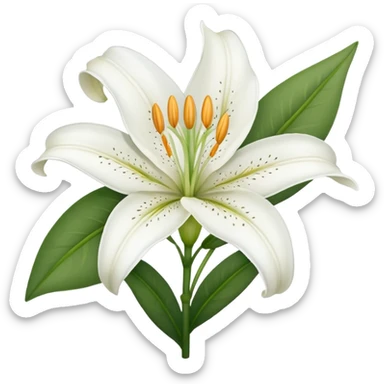 a white Lilly flower as a emoji sticker