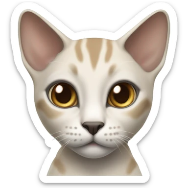 Thai breed realistic adult cat with a light cream -brown body, dark gray face, ears, and paws. Short fur, sharp ears, striking light blue eyes  sticker