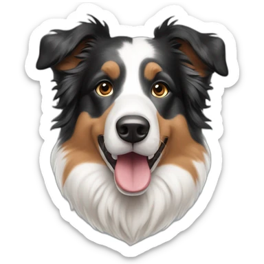 tricolor merle border-collie sticker