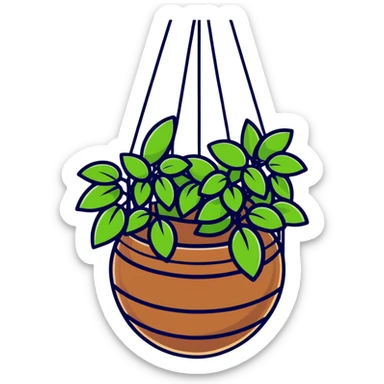 Plectranthus Verticillatus with cascading vines and perfect circle-shaped leaves like coins in a coconut fiber hanging basket sticker