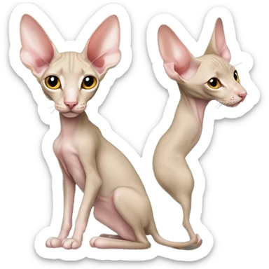 “Realistická Peterbald mačka s nahou kožou, veľké uši, sfarbenie v siamskom štýle (svetlé telo s tmavšími končekmi labiek, uší a chvosta), svetlo modré oči, detailný a emocionálny vzhľad.”  sticker