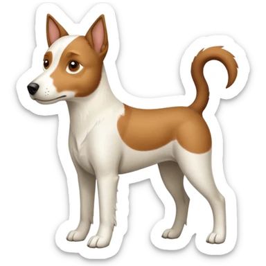 a full body white parson russell looking dog the size of a kelpie with light brown ears and a light brown patch on one eye and a large snout sticker