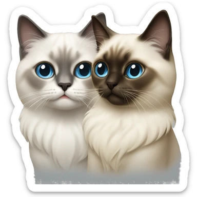 Two sacred birman cats sticker