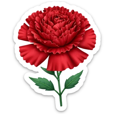 Red carnation  sticker