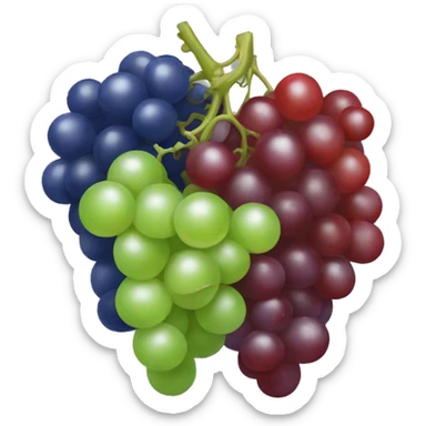 green and red and blue grapes sticker