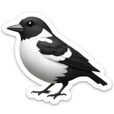 oiseaux noir et blanc bec jaune sticker