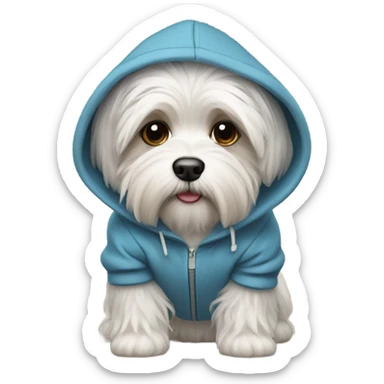 Havanese wearing a hoodie  sticker