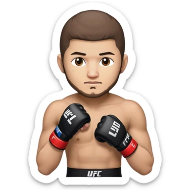 Khabib Nurmagomedov in ufc gloves sticker