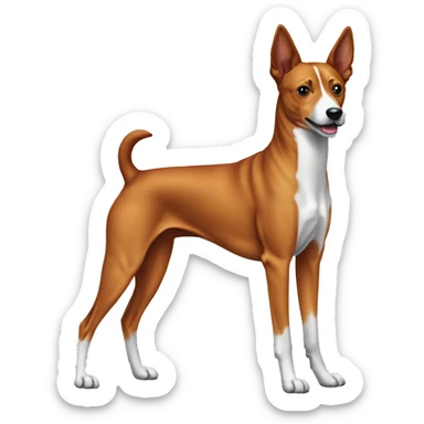 Dog basenji sticker