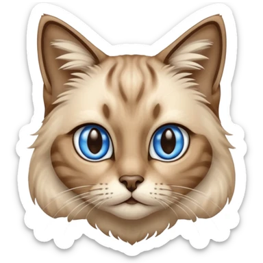 Tabby cat long hair in Siamese colors sticker