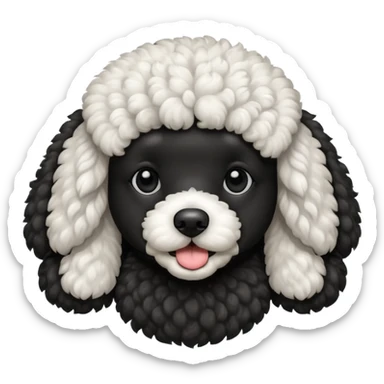 Caniche blanco y negro sticker