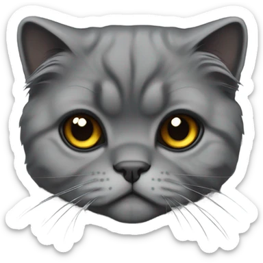 All dark grey Scottish fold cat long hair fold ear sticker