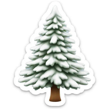  actual white fir christmas tree isolated.  sticker