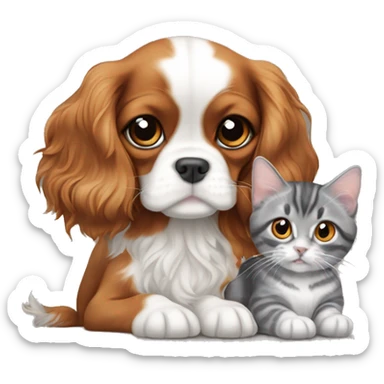 Cavalier King Charles Spaniel puppy sits next to a British gray tabby cat sticker