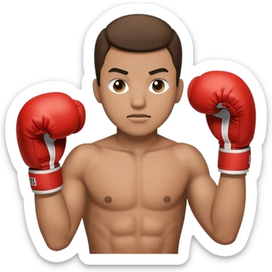 Barbie ken ken boxing sticker