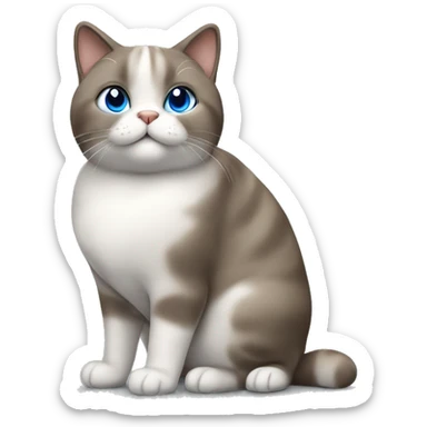 chubby blue-eyed brown grey white cat standing sticker
