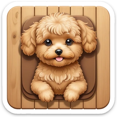 Tan maltipoo sunbathing on a deck sticker