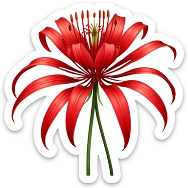 wilting red spider lily  sticker