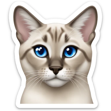 Lynx point Siamese with crossed blue eyes sticker