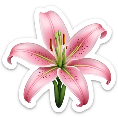 light pink lilium sticker