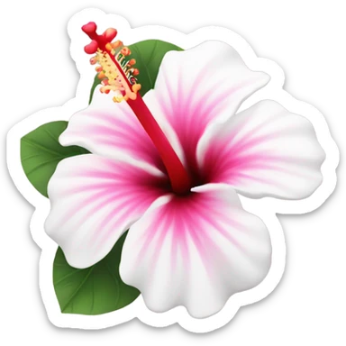 white and pink hibiscus flower  sticker