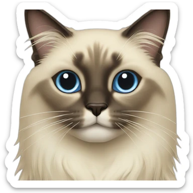 siamese long hair cat sticker