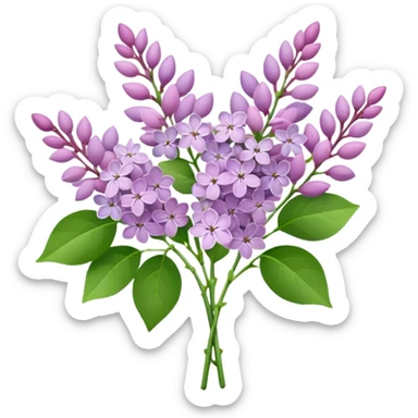 Pale Pink bouquet of lilac flowers sticker