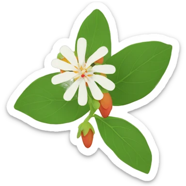 ashwagandha with flower sticker
