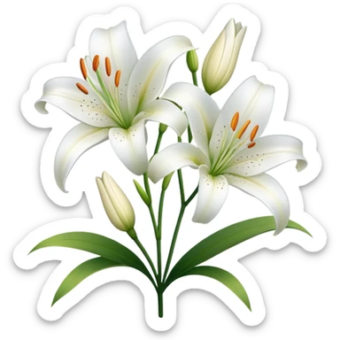 Lily flowers  sticker