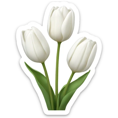 White tulips sticker