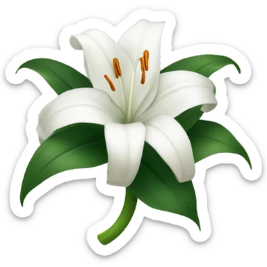 White lillies witha ribbon sticker
