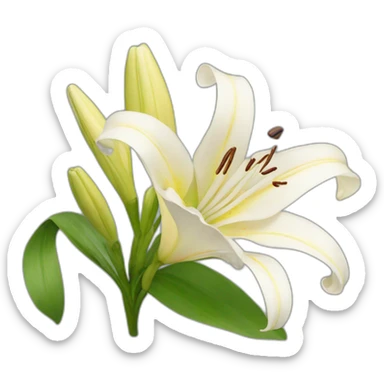 lily sticker