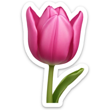 Pink tulip sticker