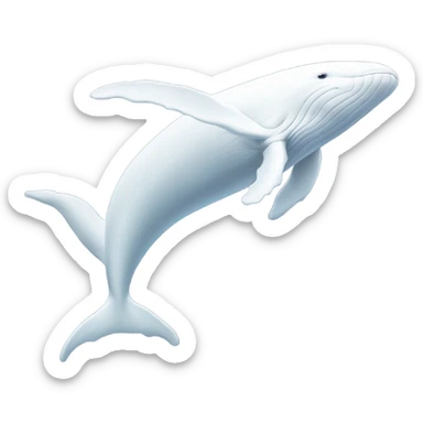 white whale , underside sticker