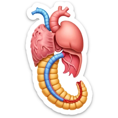 A detailed emoji of the human digestive system, showing the mouth, esophagus, stomach, and intestines, in a bright and colorful style. sticker
