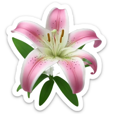 pink and white lily flower sticker