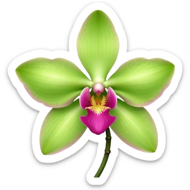 green and pink orchid sticker