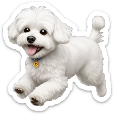 Maltese bichon running sticker