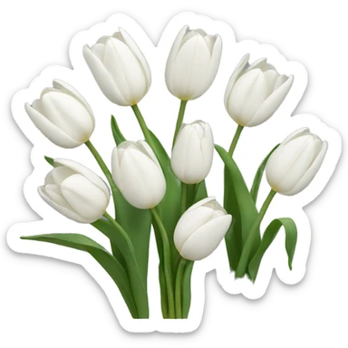 White tulips  sticker