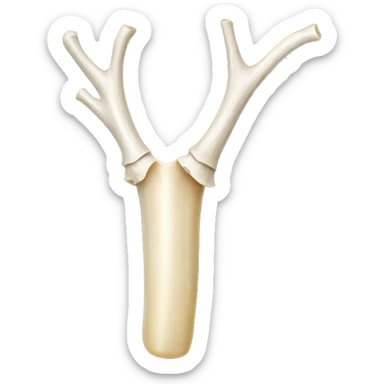 Elk bone sticker