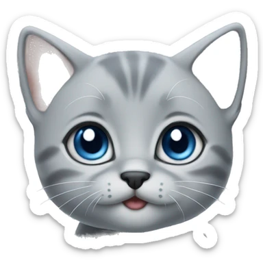 blue eyes grey kitten, poo sticker
