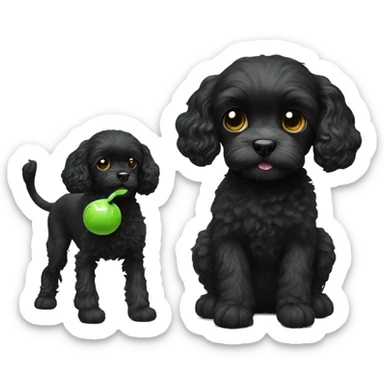 black cavoodle with a white chin. playing with a green monkey toy sticker