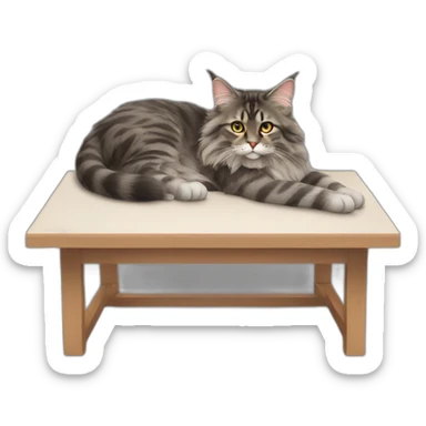 maincoon cat lying on a desk sticker