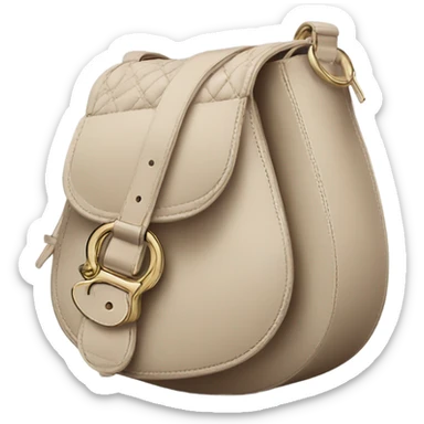 Dior saddle bag sticker