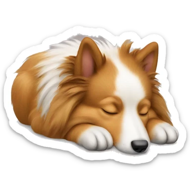 sleeping shetland sheepdog sticker