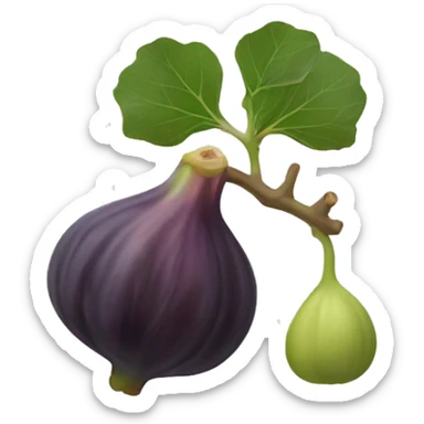 fig the fruit sticker