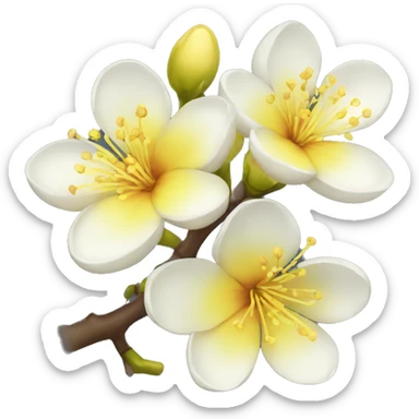 Yellow cherry blossom flower sticker
