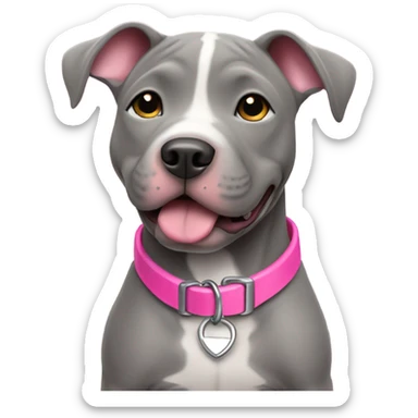 Grey pittbull puppy with a pink collar sticker