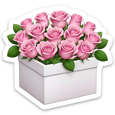 bouquet of pink 30 roses in a white box，no sticker