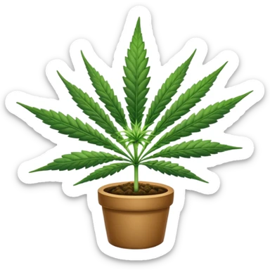 Cannabis sticker